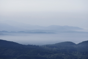 わたしたちについて